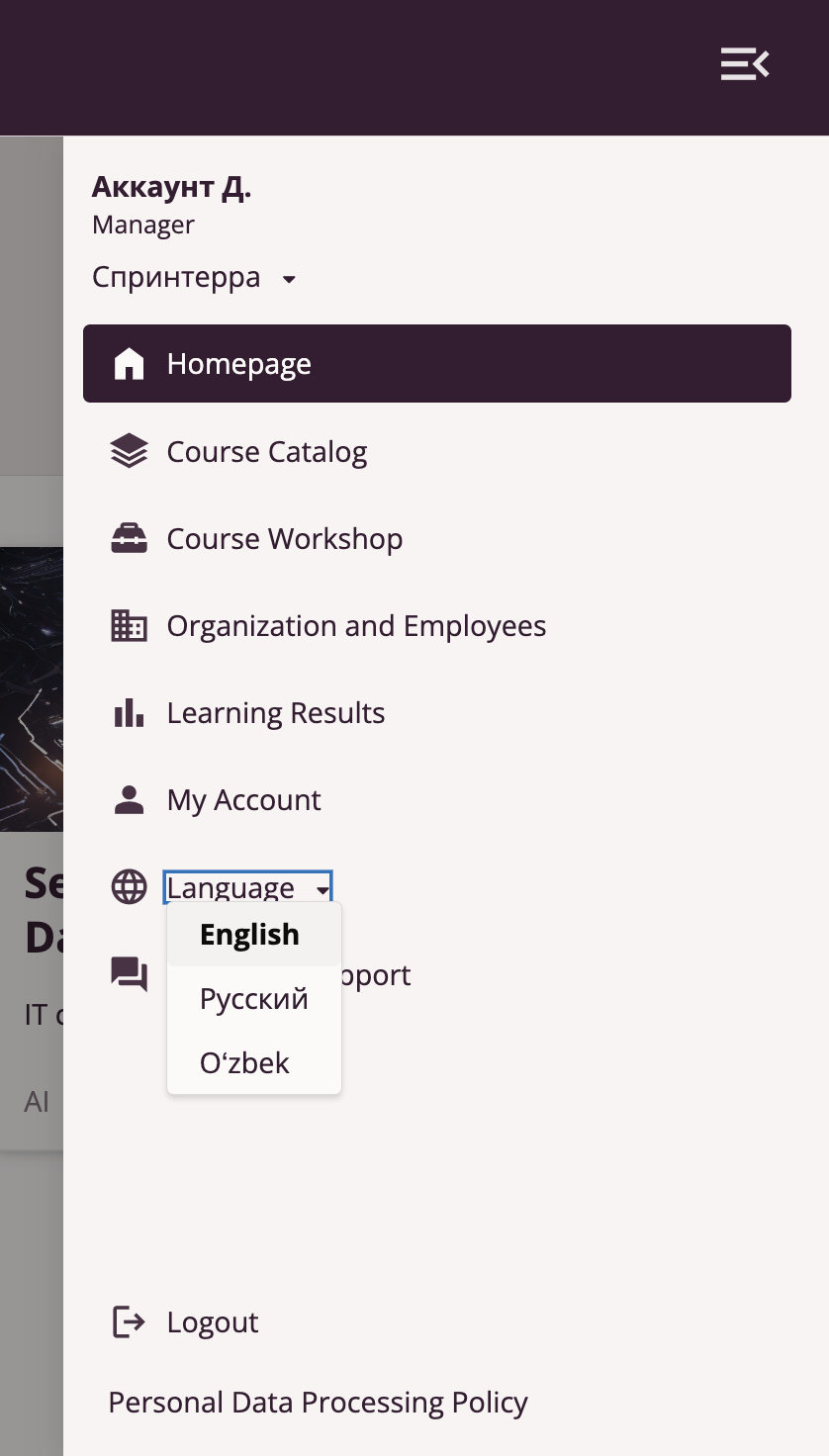 Main Menu - Language